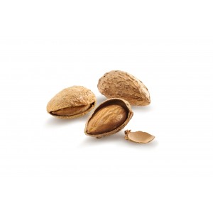 ALMONDS IN SHELL